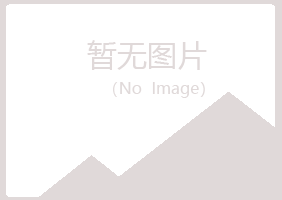 廉江冰夏建筑有限公司